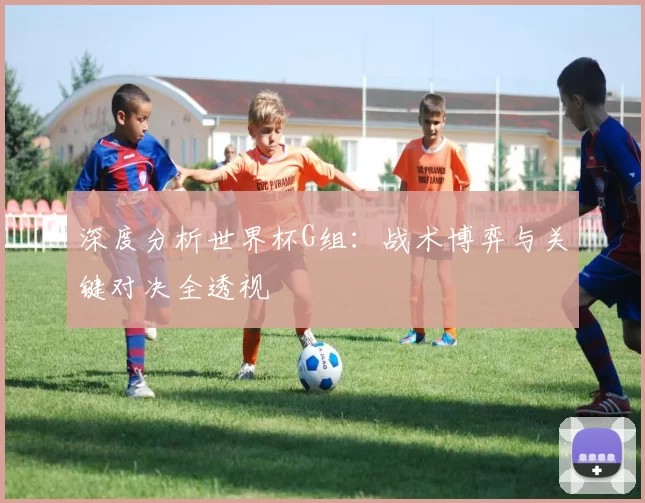 深度分析世界杯G组:战术博弈与关键对决全透视