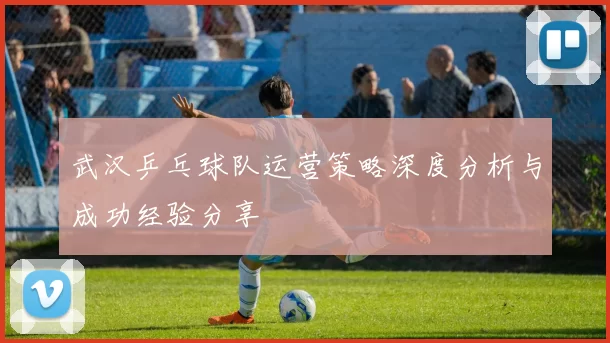 武汉乒乓球队运营策略深度分析与成功经验分享
