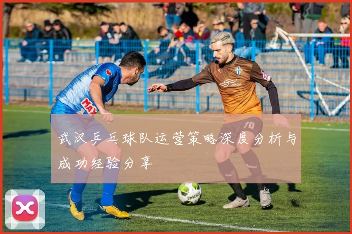 武汉乒乓球队运营策略深度分析与成功经验分享