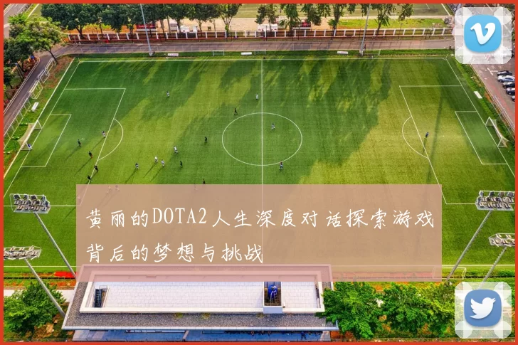 黄丽的DOTA2人生深度对话探索游戏背后的梦想与挑战
