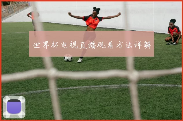 世界杯电视直播观看方法详解