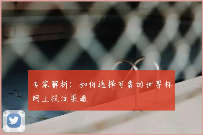 专家解析:如何选择可靠的世界杯网上投注渠道