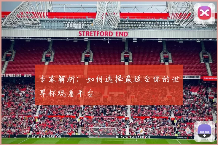 专家解析:如何选择最适合你的世界杯观看平台