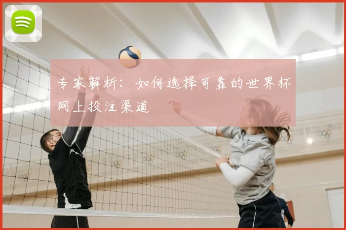 专家解析:如何选择可靠的世界杯网上投注渠道