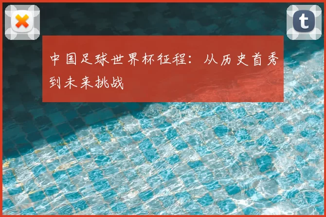 中国足球世界杯征程:从历史首秀到未来挑战