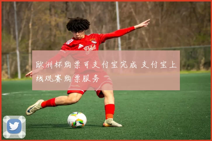欧洲杯购票可支付宝完成 支付宝上线观赛购票服务
