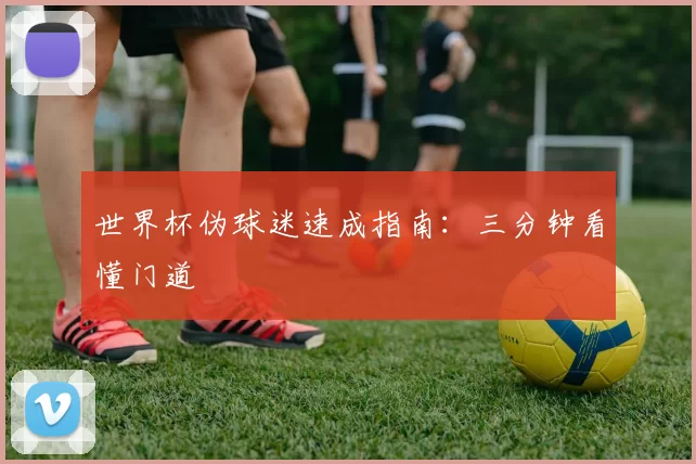 世界杯伪球迷速成指南：三分钟看懂门道