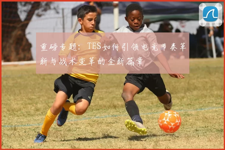 重磅专题:TES如何引领电竞节奏革新与战术变革的全新篇章