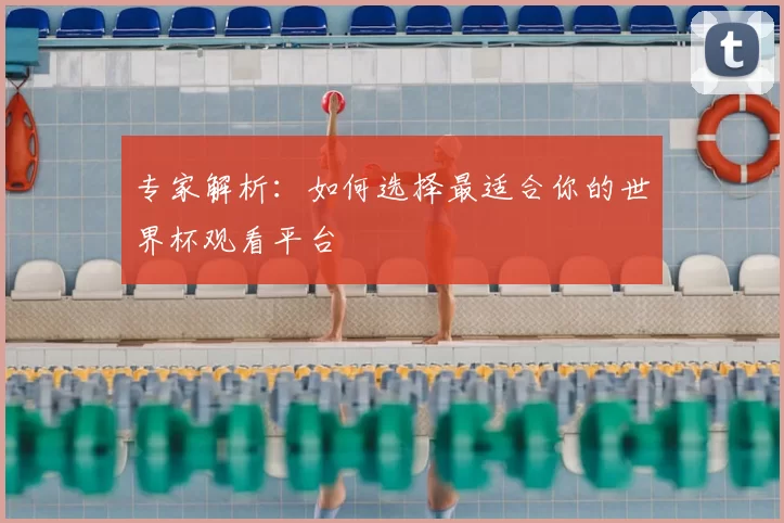 专家解析:如何选择最适合你的世界杯观看平台