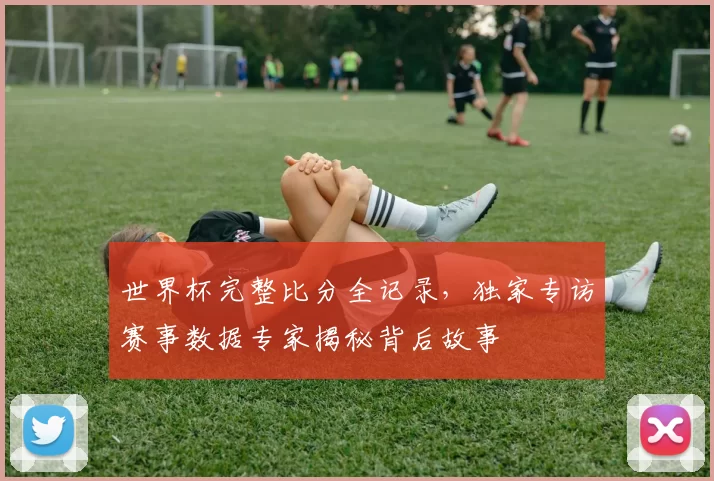 世界杯完整比分全记录,独家专访赛事数据专家揭秘背后故事
