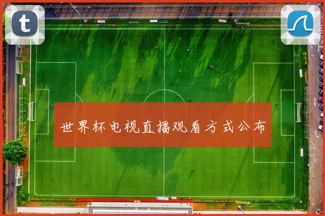 世界杯电视直播观看方式公布