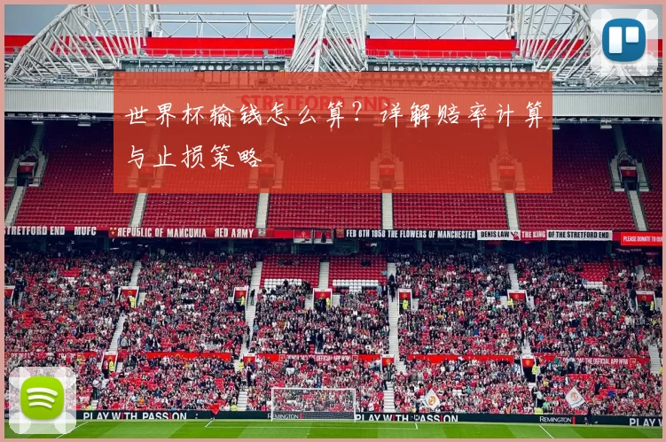 世界杯输钱怎么算?详解赔率计算与止损策略