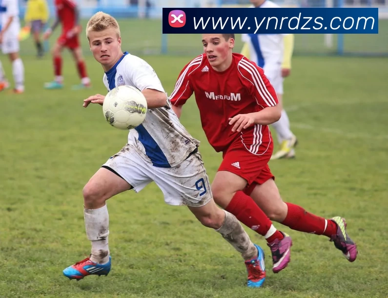 华体APP 高清赛事图